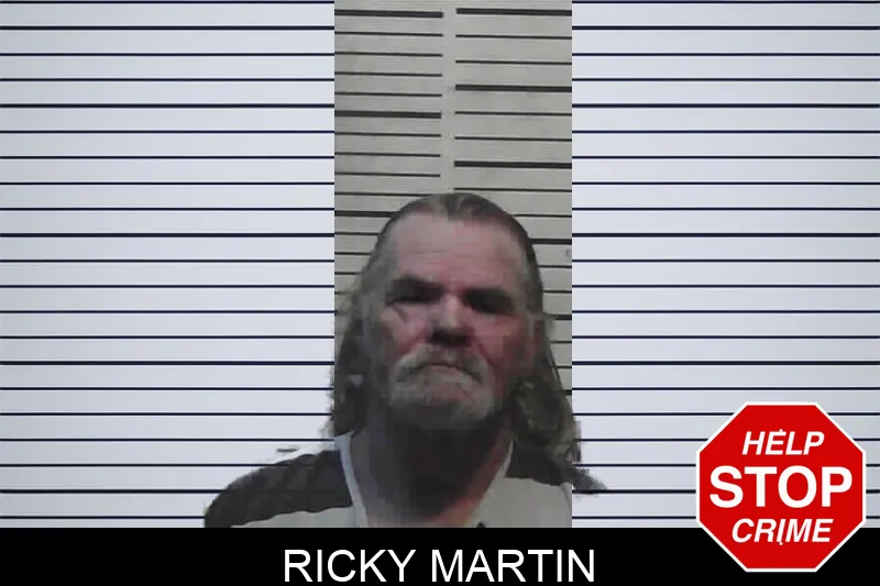 Ricky Martin mugshot