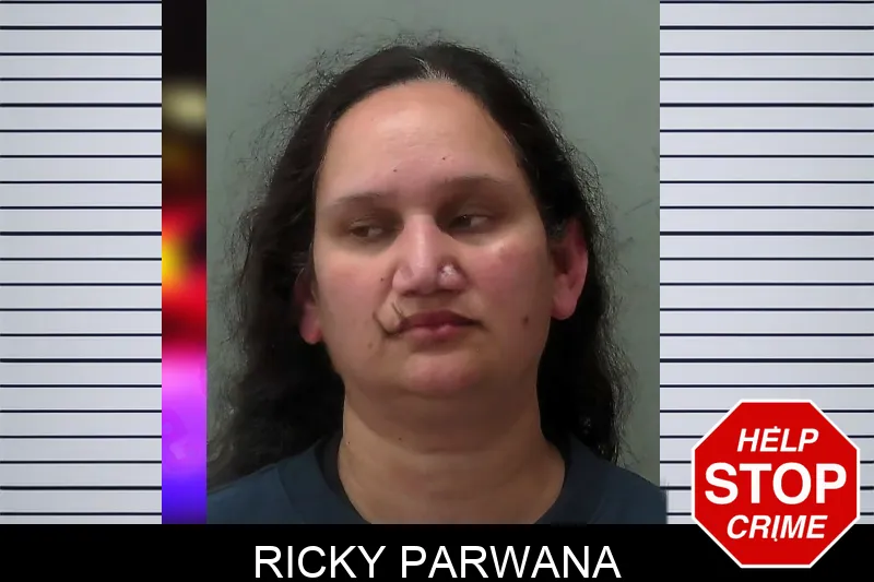 Ricky Parwana mugshot – Towns County , Georgia Ricky Parwana mugshot
