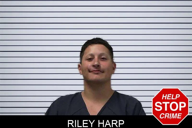 Riley Harp mugshot