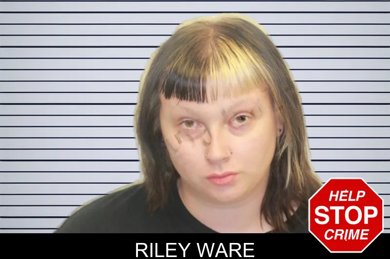 Riley Ware mugshot – Chatham County , Georgia Riley Ware mugshot