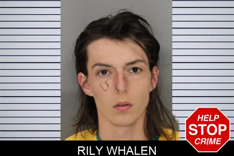 Rily Whalen mugshot – Cobb County , Georgia Rily Whalen