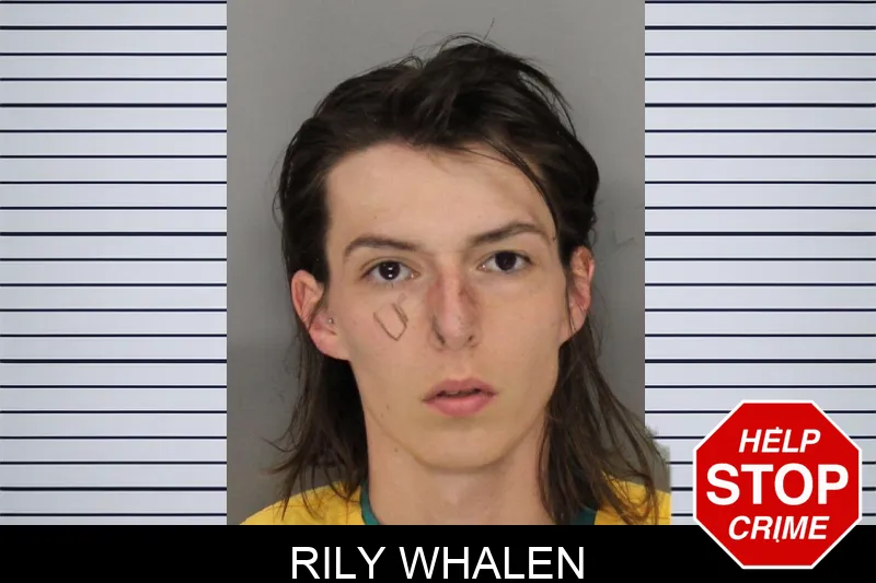 Rily Whalen mugshot – Cobb County , Georgia Rily Whalen mugshot