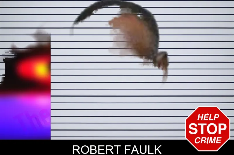 Robert Faulk mugshot – Bacon County , Georgia Robert Faulk mugshot