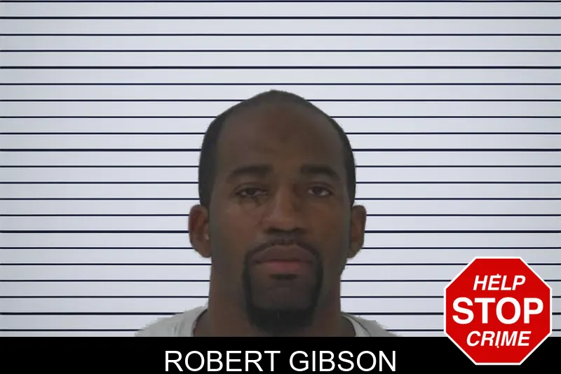 Robert Gibson mugshot