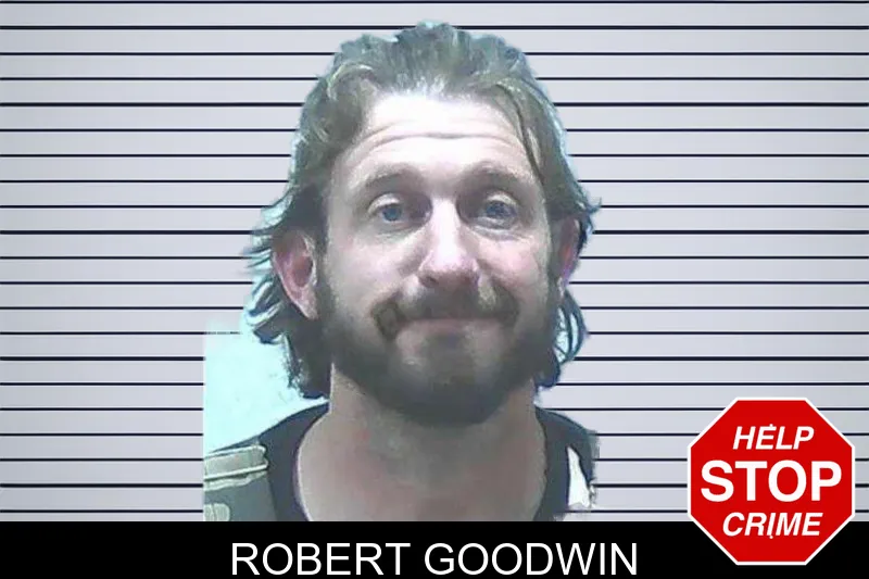 Robert Goodwin mugshot