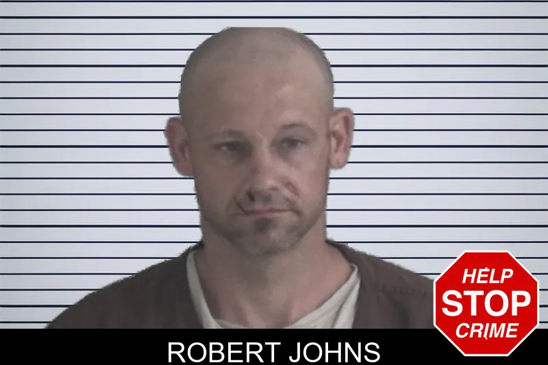 Robert Johns mugshot – Brantley County , Georgia Robert Johns mugshot