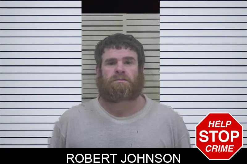 Robert Johnson mugshot