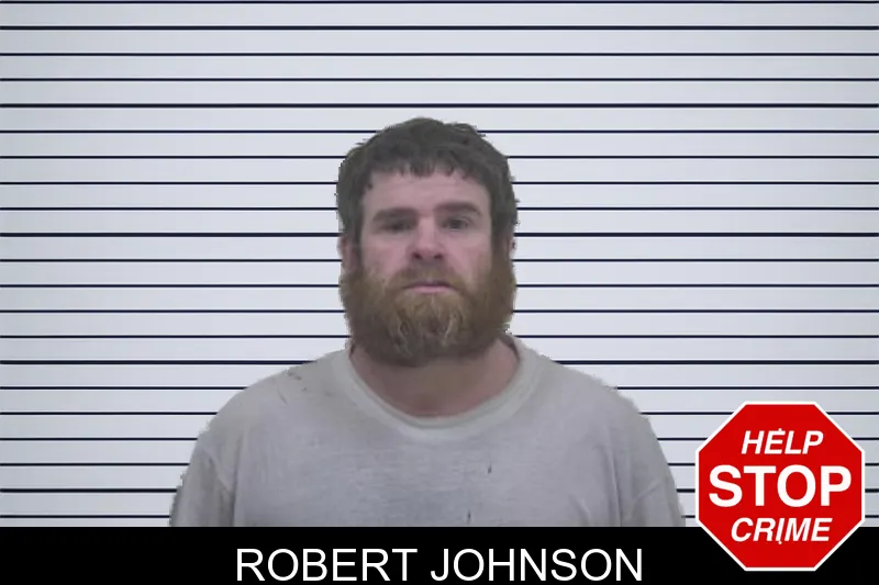 Robert Johnson mugshot