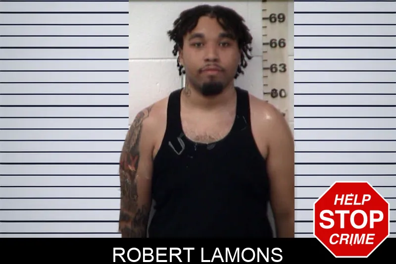 Robert Lamons mugshot