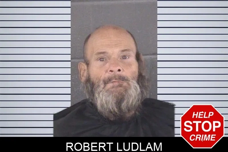 Robert Ludlam mugshot – Spalding County , Georgia Robert Ludlam mugshot