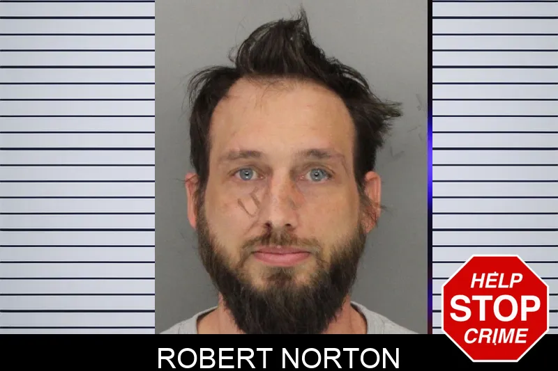 Robert Norton mugshot – Cobb County , Georgia Robert Norton mugshot