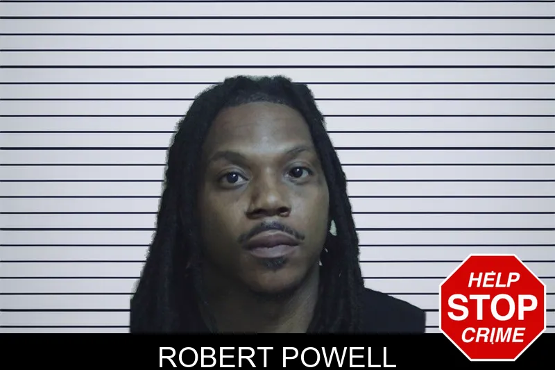 Robert Powell mugshot