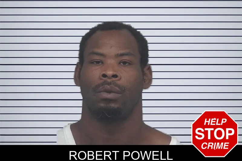 Robert Powell mugshot