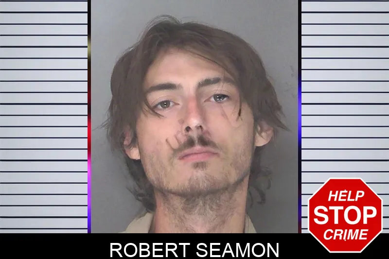Robert Seamon mugshot