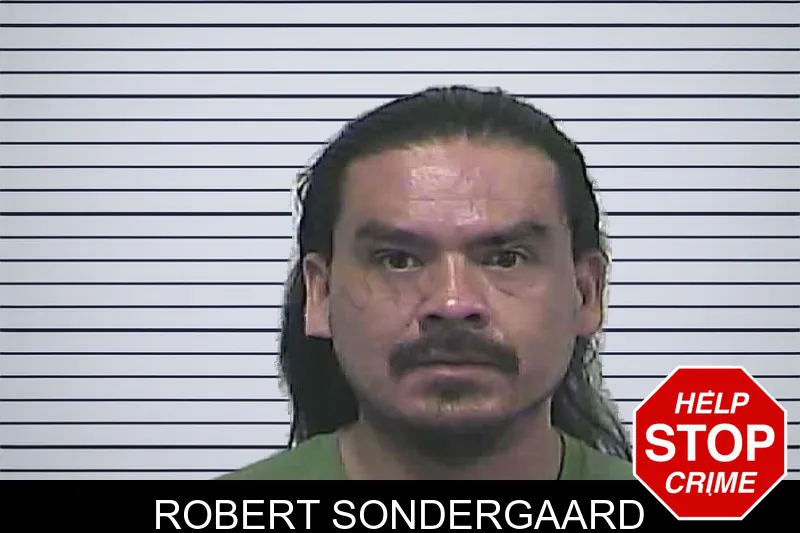 Robert Sondergaard mugshot – Dawson County , Georgia Robert Sondergaard mugshot