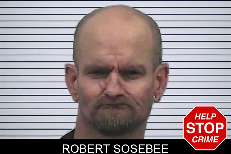 Robert Sosebee mugshot