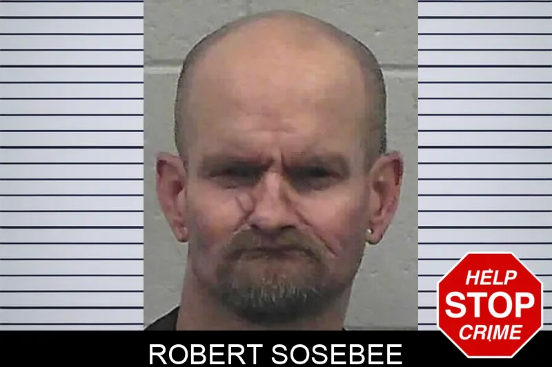 Robert Sosebee mugshot