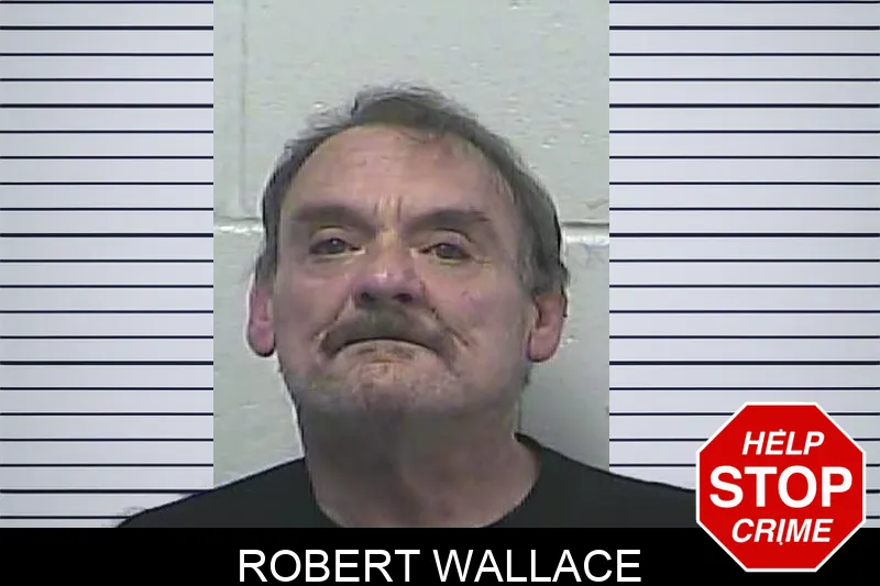 Robert Wallace mugshot
