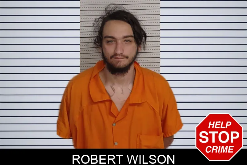 Robert Wilson mugshot