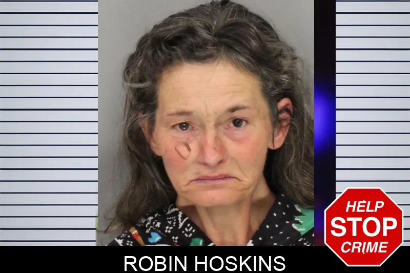 Robin Hoskins mugshot – Cobb County , Georgia Robin Hoskins mugshot