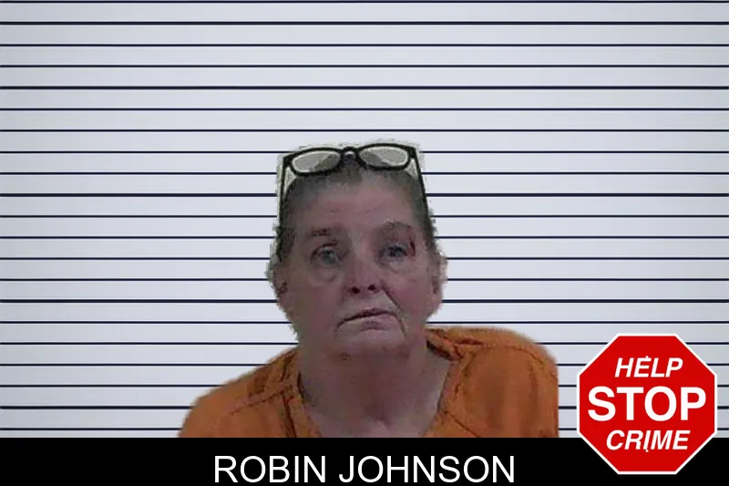 Robin Johnson mugshot