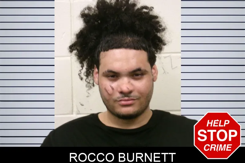 Rocco Burnett mugshot – Bulloch County , Georgia Rocco Burnett mugshot