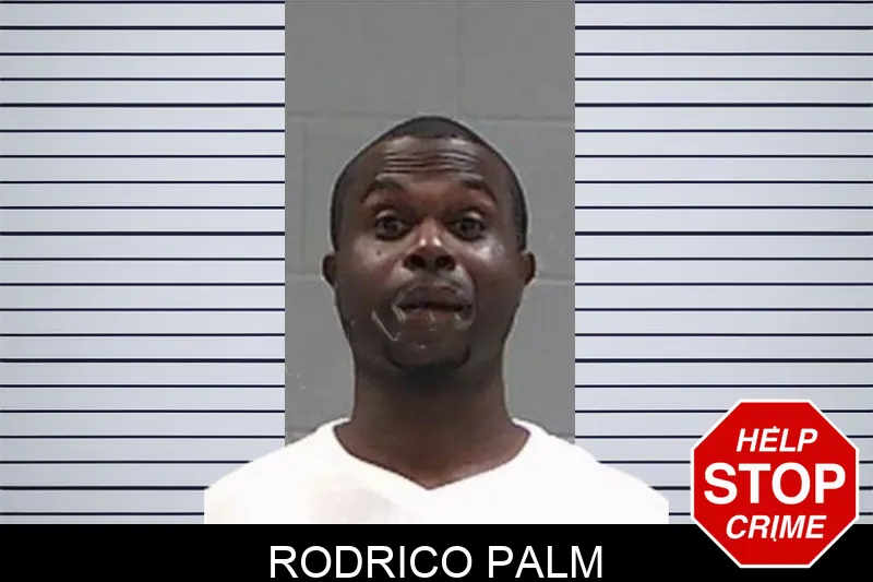 Rodrico Palm mugshot