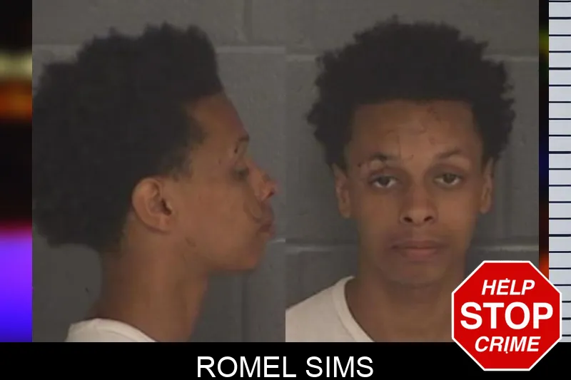 Romel Sims mugshot