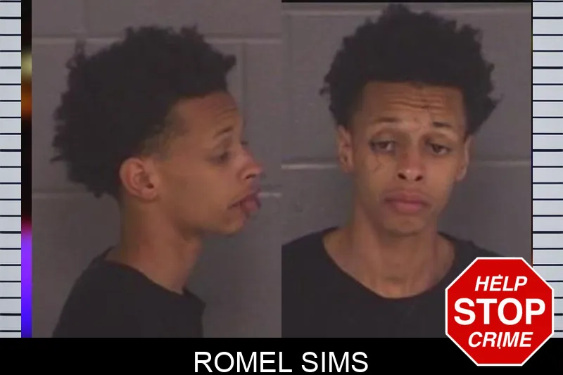 Romel Sims mugshot