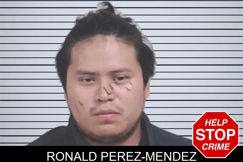 Ronald Perez-Mendez mugshot – Lowndes County , Georgia Ronald Perez-Mendez mugshot