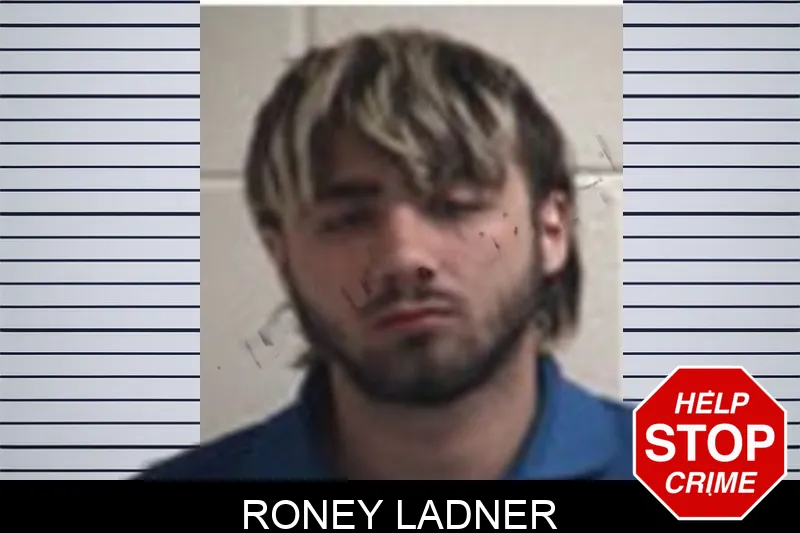 Roney Ladner mugshot – Henry County , Georgia Roney Ladner mugshot