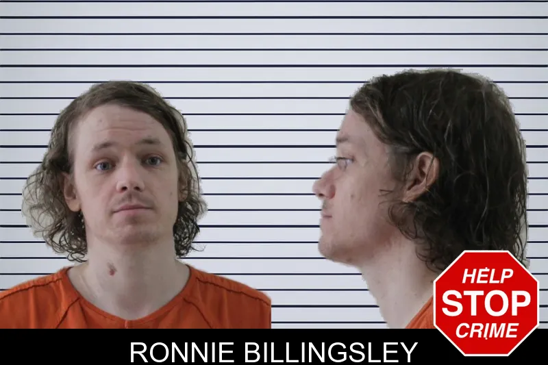 Ronnie Billingsley mugshot – Houston County , Georgia Ronnie Billingsley mugshot