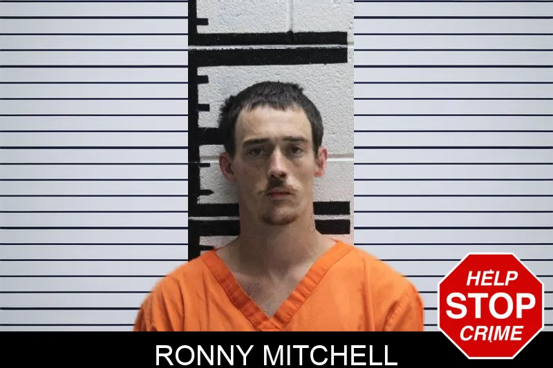 Ronny Mitchell mugshot