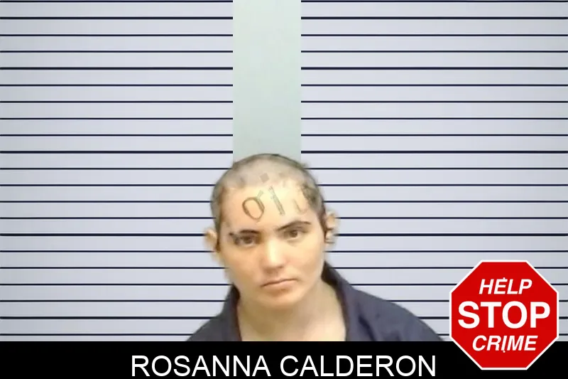 Rosanna Calderon mugshot – Fulton County , Georgia Rosanna Calderon mugshot