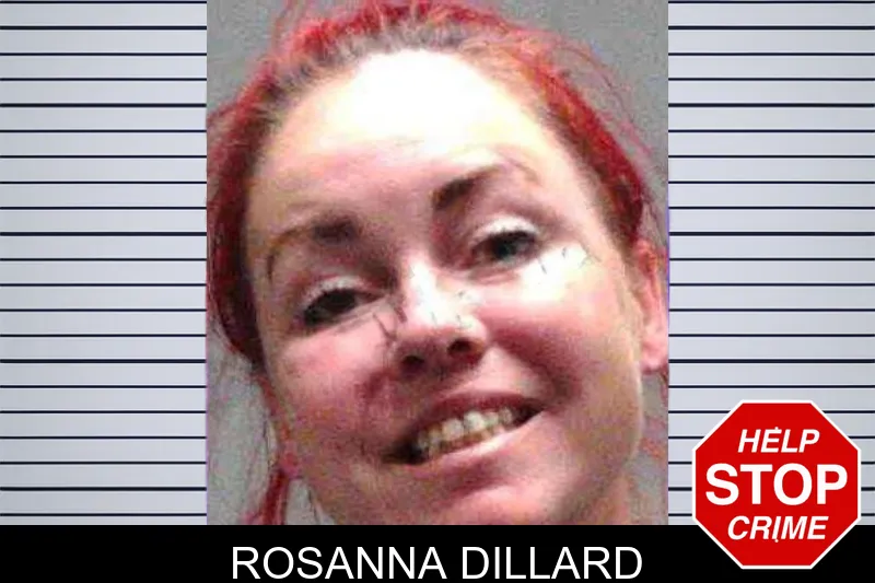 Rosanna Dillard mugshot
