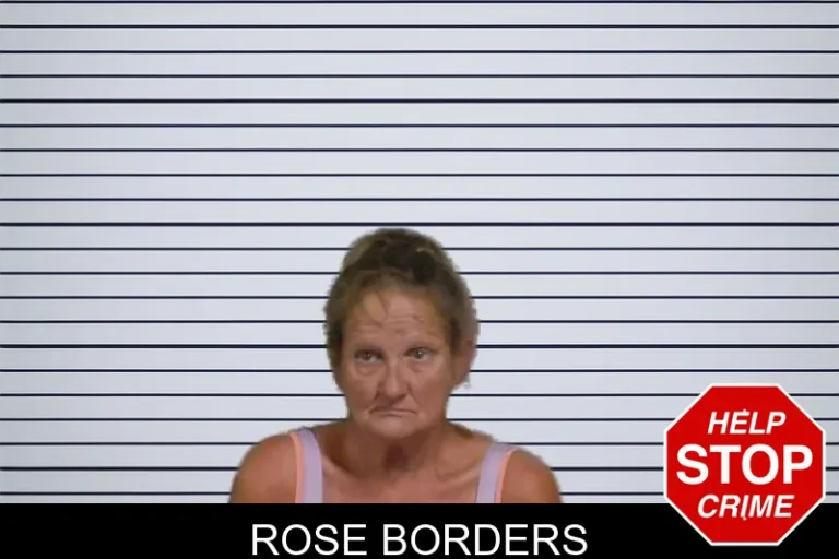 Rose Borders mugshot – Candler County , Georgia Rose Borders