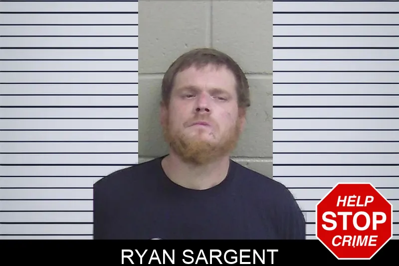 Ryan Sargent mugshot – Wayne County , Georgia Ryan Sargent mugshot