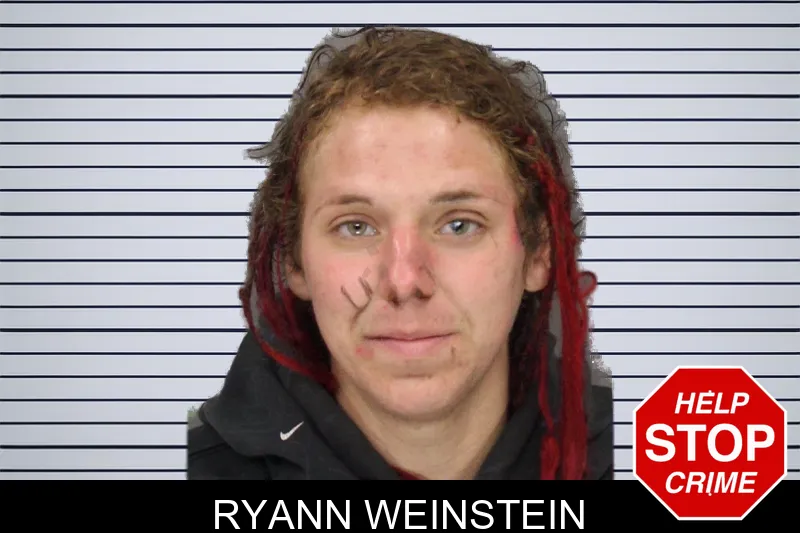 Ryann Weinstein mugshot – Cobb County , Georgia Ryann Weinstein mugshot