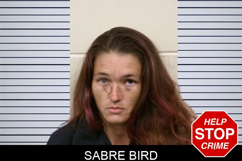 Sabre Bird mugshot – Bulloch County , Georgia Sabre Bird mugshot
