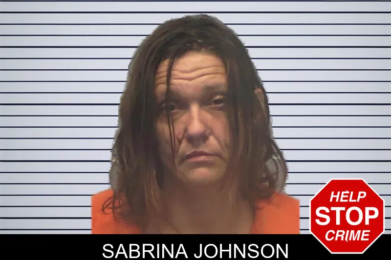 Sabrina Johnson mugshot – Ware County , Georgia Sabrina Johnson mugshot