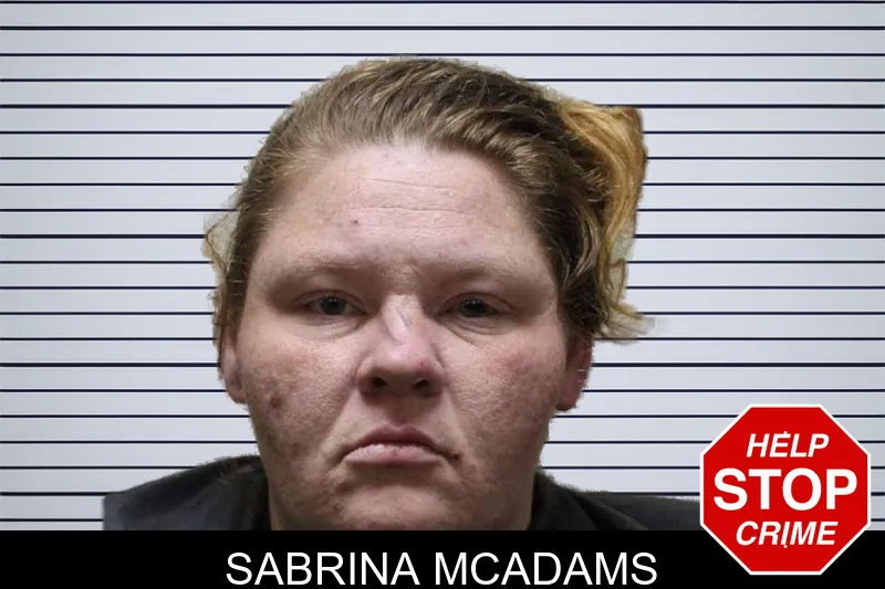 Sabrina McAdams mugshot – Haralson County , Georgia Sabrina McAdams mugshot