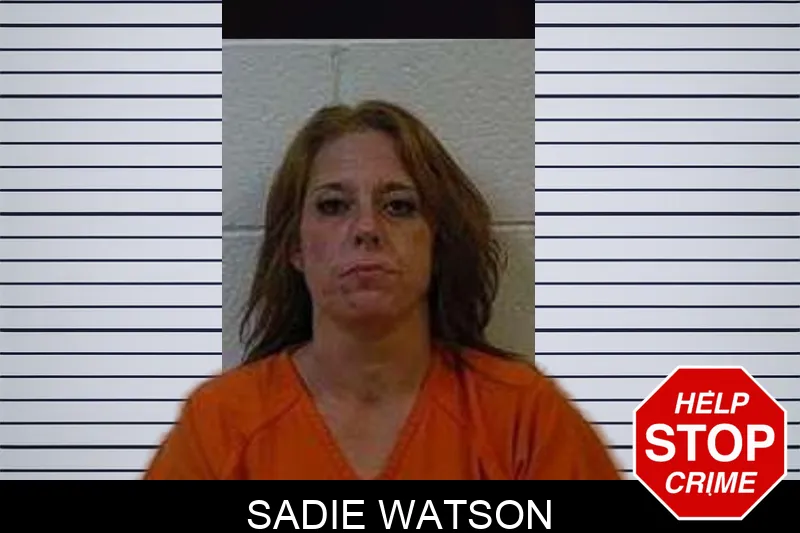 Sadie Watson mugshot – Polk County , Georgia Sadie Watson mugshot