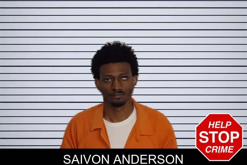 Saivon Anderson mugshot – Rockdale County , Georgia Saivon Anderson mugshot