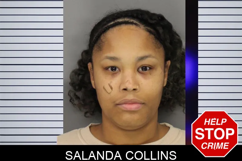 Salanda Collins mugshot