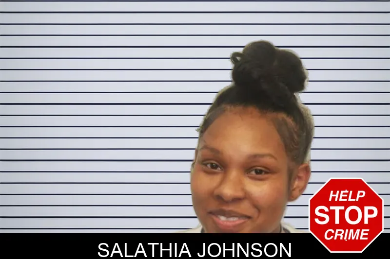Salathia Johnson mugshot – Chatham County , Georgia Salathia Johnson mugshot