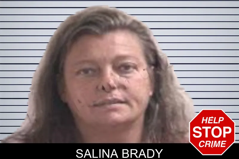 Salina Brady mugshot – Henry County , Georgia Salina Brady mugshot