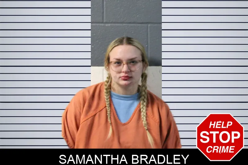 Samantha Bradley mugshot – Lumpkin County , Georgia Samantha Bradley mugshot