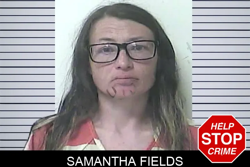 Samantha Fields mugshot