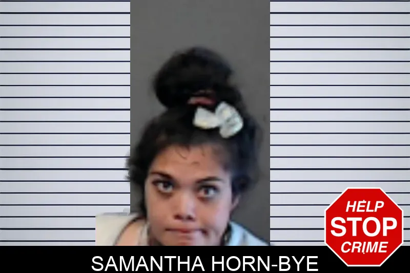 Samantha Horn-Bye mugshot