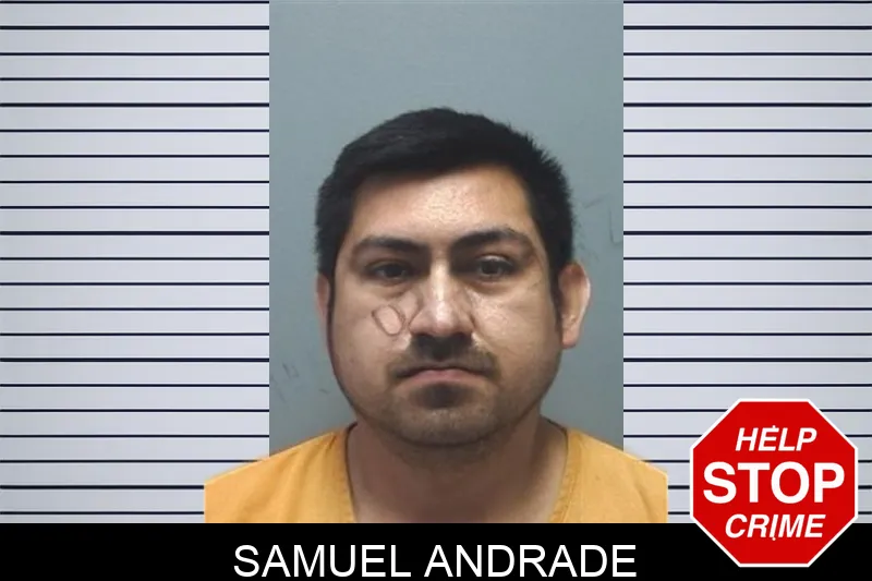 Samuel Andrade mugshot